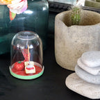 Petit Uni-Verre "Strawberry Jam for ever"