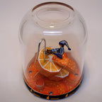 Petit Uni-Verre "Pressé le matin"