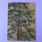 Dans la Forêt #2 Hibou - Illustration encadrée