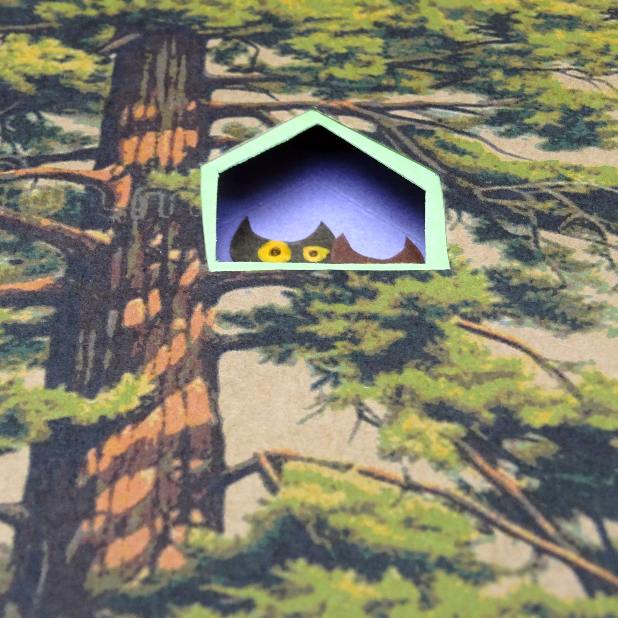Dans la Forêt #2 Hibou - Illustration encadrée