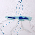La Cascade - Illustration encadrée